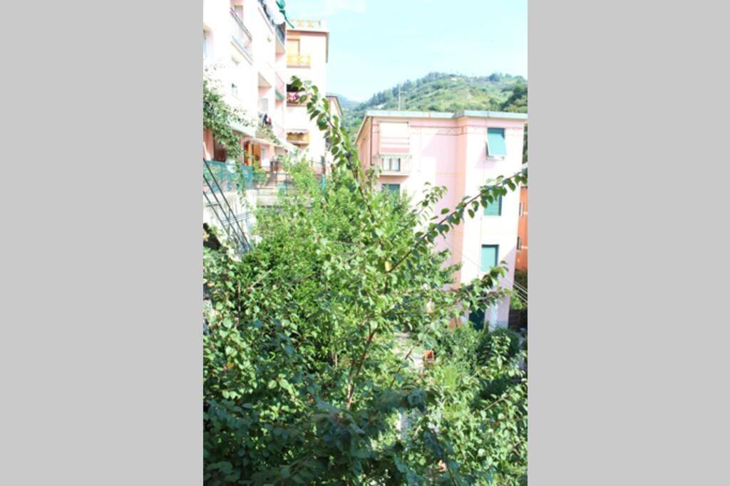 Ca Du Rocco - Citra 011019-Lt-0343 Lejlighed Monterosso al Mare Eksteriør billede